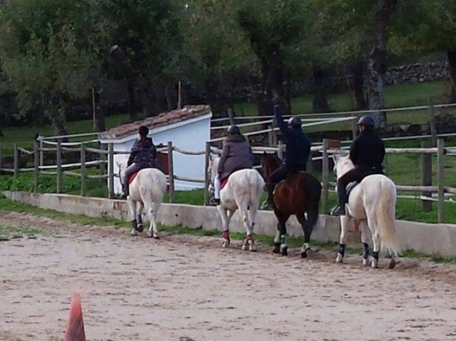 nos vamos de paseo